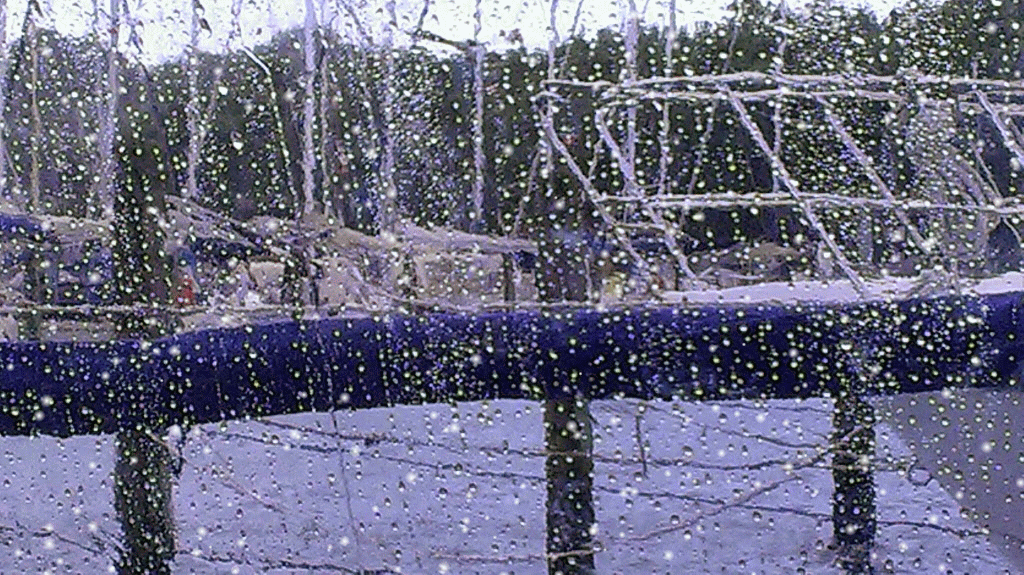 IMAG1725-SNOW